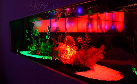 Wintersuite Paderborn Lounge Division