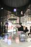 Leonardo zur Ambiente in FFM