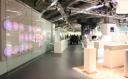 Leonardo zur Ambiente in FFM