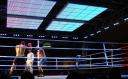 Weltmeisterschaft im Schachboxen mit LED Lichtkonzept von Room Division