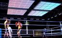 Weltmeisterschaft im Schachboxen mit LED Lichtkonzept von Room Division