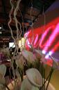 Room Division Dreampanel Backdrop f�r Diageo Messestand