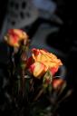 Cafe Neu Heckmann H�fe Berlin