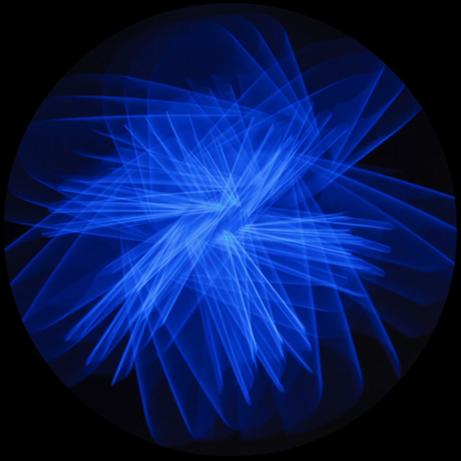 ANOMALIE ART CLUB ROOM DIVISION